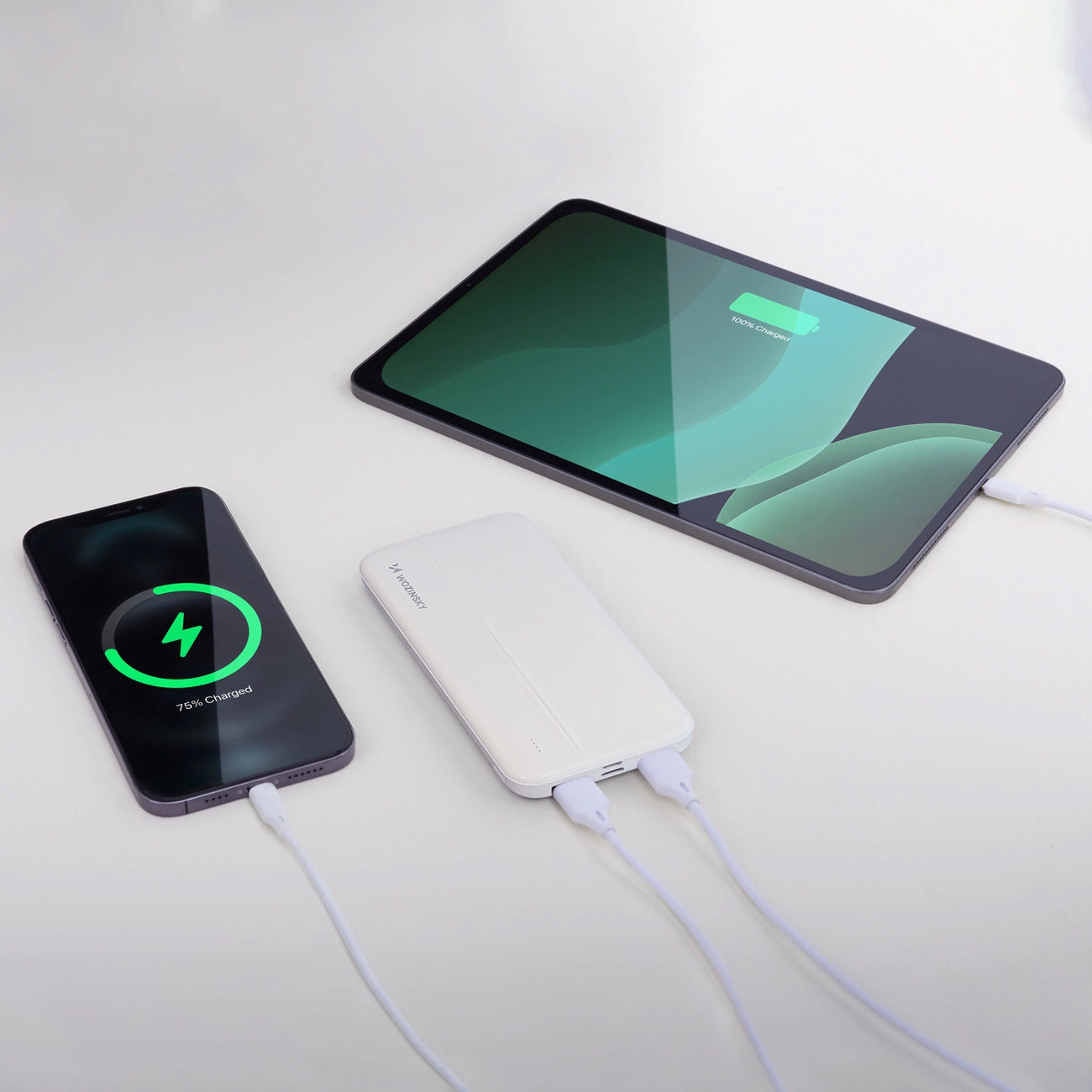 Batteria Esterna WZK WPBWE1, 10000mAh, 10W, 2 x USB-A, Bianca