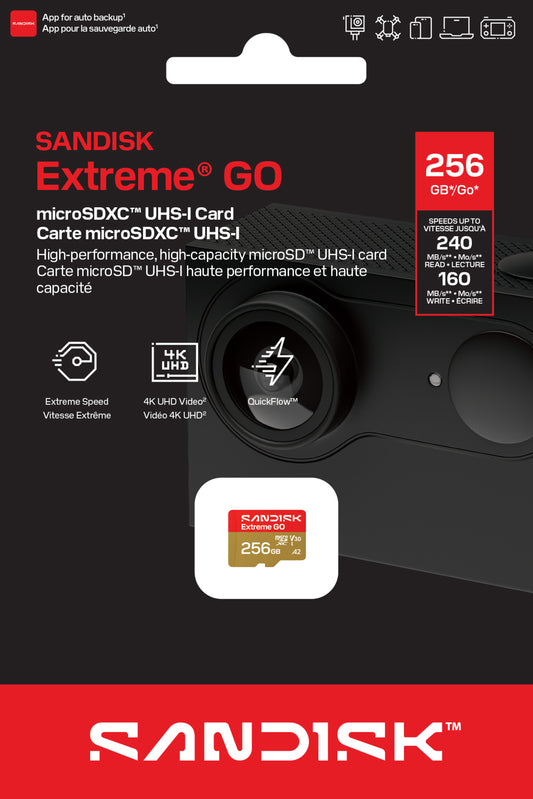 Scheda di memoria microSDXC SanDisk Extreme GO Android A2, 256Gb, Classe 10 / UHS-1 U1 SDSQXGN-256G-GN6MN
