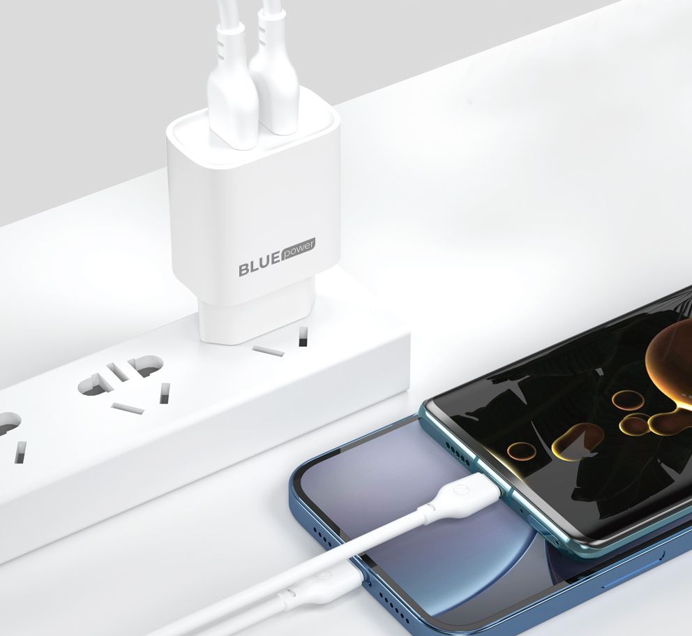 Blue Power BPCE02M Caricabatterie di rete con cavo microUSB BPCE02M, 10,5W, 2,1A, 2 x USB-A, bianco