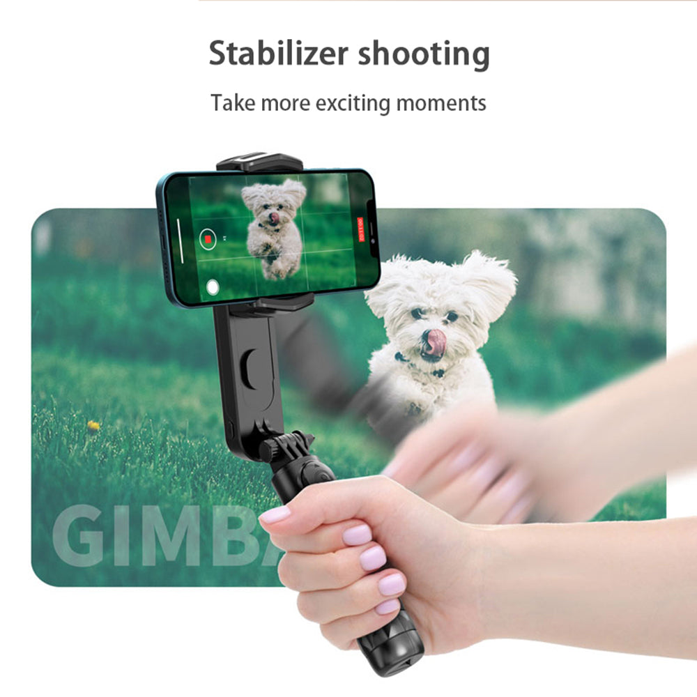 Selfie Stick Bluetooth Techsuit Q09, Universale, Nero