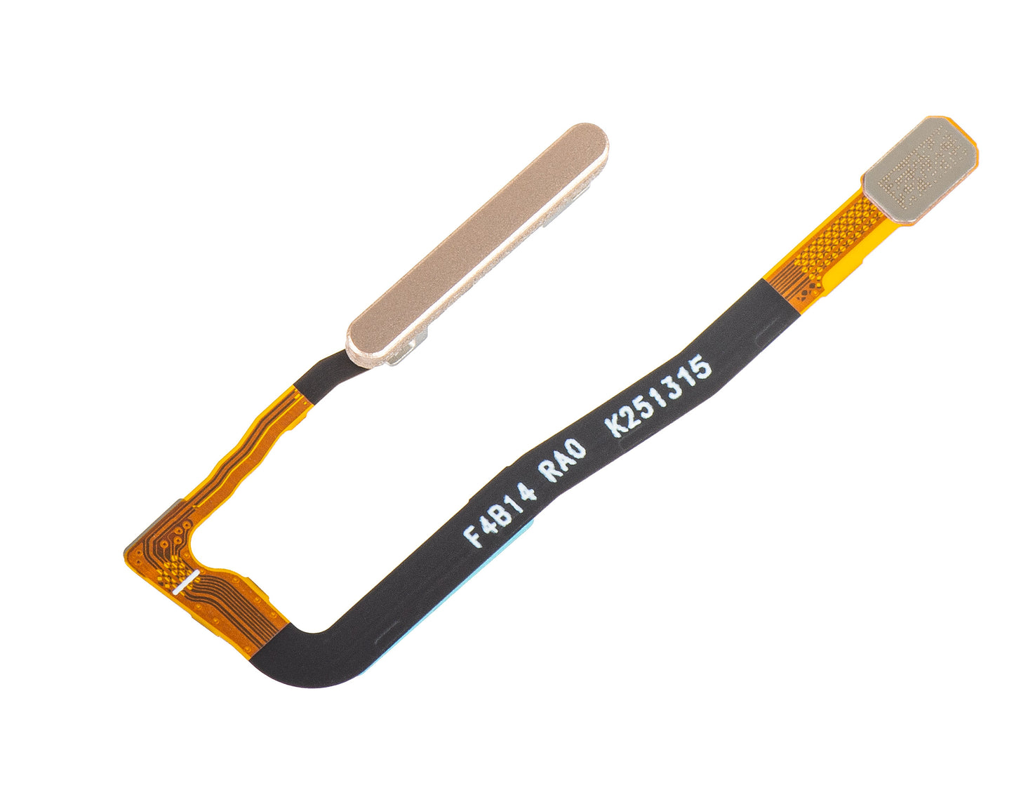 Sensore Impronta Honor Magic V5, con banda, Dorato (Dawn Gold), Service Pack 2310AAGX