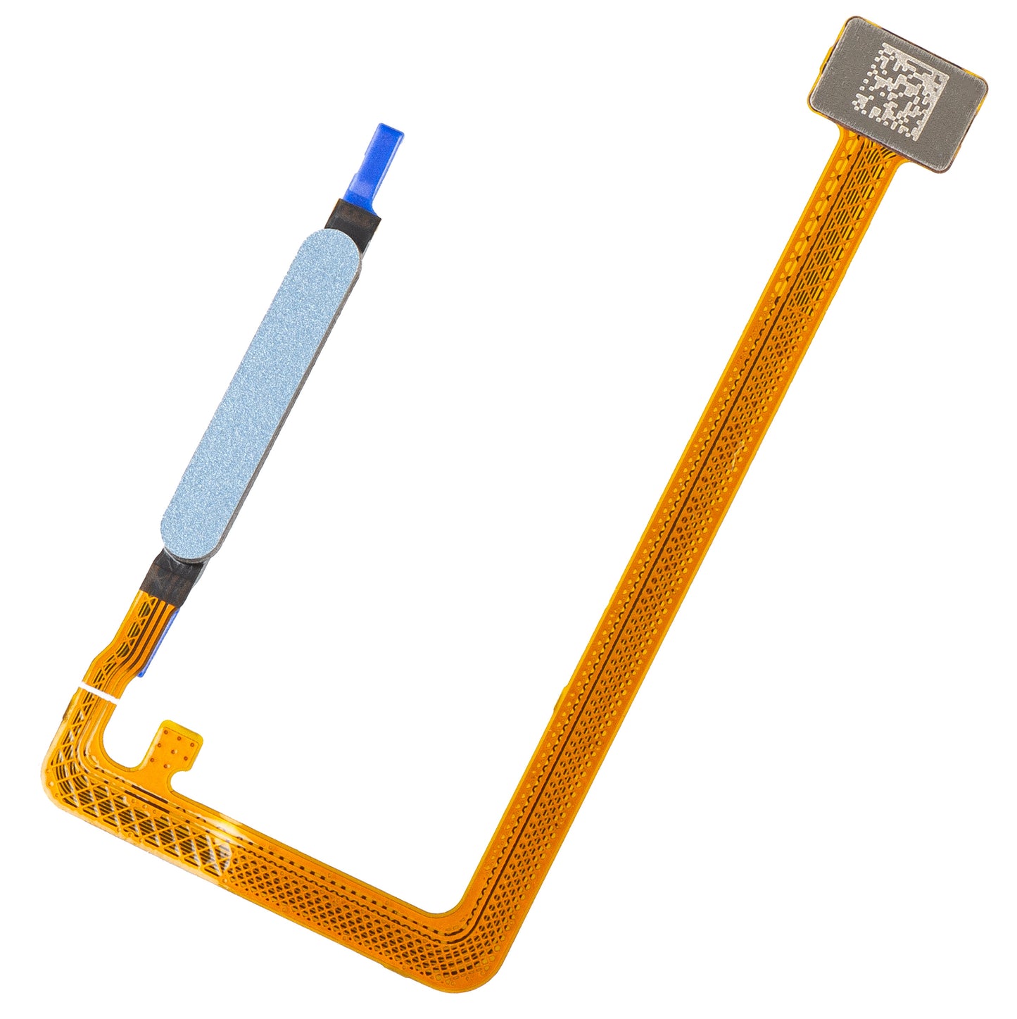 Sensore Impronta Honor X5c Plus, con banda, Blu, Service Pack 9707ACFH