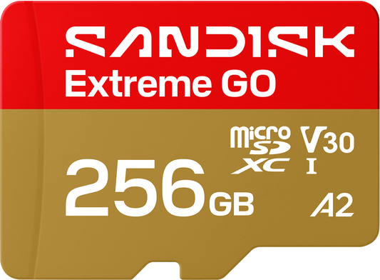 Scheda di memoria microSDXC SanDisk Extreme GO Android A2, 256Gb, Classe 10 / UHS-1 U1 SDSQXGN-256G-GN6MN