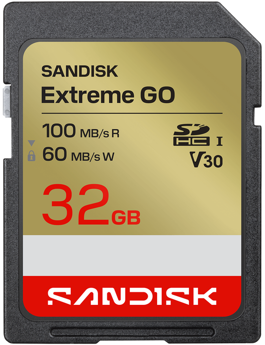 Scheda di memoria SDHC SanDisk Extreme Go, 32Gb, Classe 10 / UHS-1 U1 SDSDXGN-032G-GNCIN