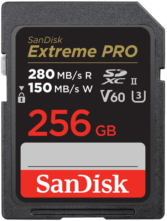 Scheda di memoria SDXC SanDisk Extreme Pro, 256Gb, Classe 10 / UHS-2 U3 SDSDXEP-256G-GN4IN