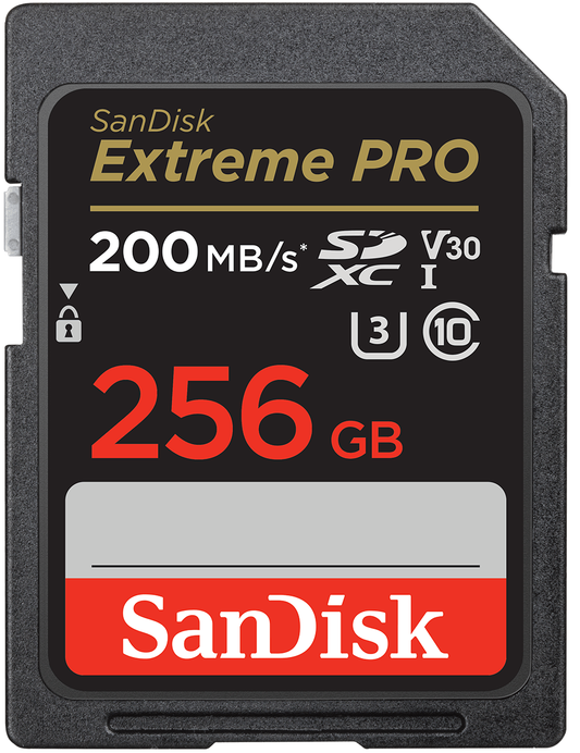 Scheda di memoria SDXC SanDisk Extreme Pro, 256Gb, Classe 10 / UHS-1 U3 SDSDXXD-256G-GN4IN