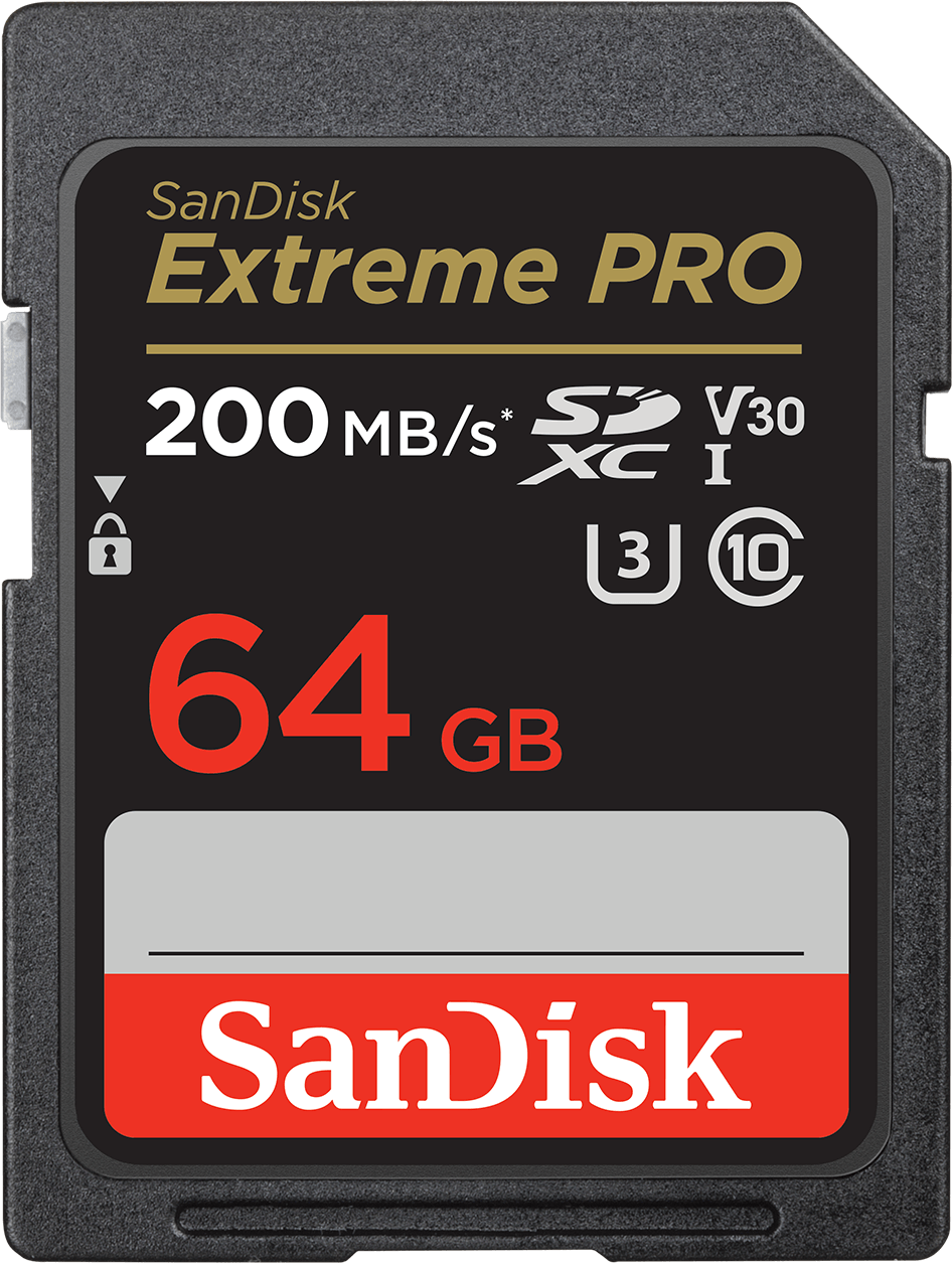 Scheda di Memoria SDXC SanDisk Extreme Pro, 64Gb, Classe 10 / UHS-1 U3 SDSDXXU-064G-GN4IN