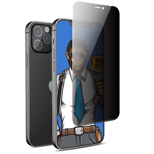 Pellicola Protettiva Schermo Privacy Blueo per Apple iPhone 16e / 14 / 13 Pro / 13, Vetro Temperato, Full Glue, 5D