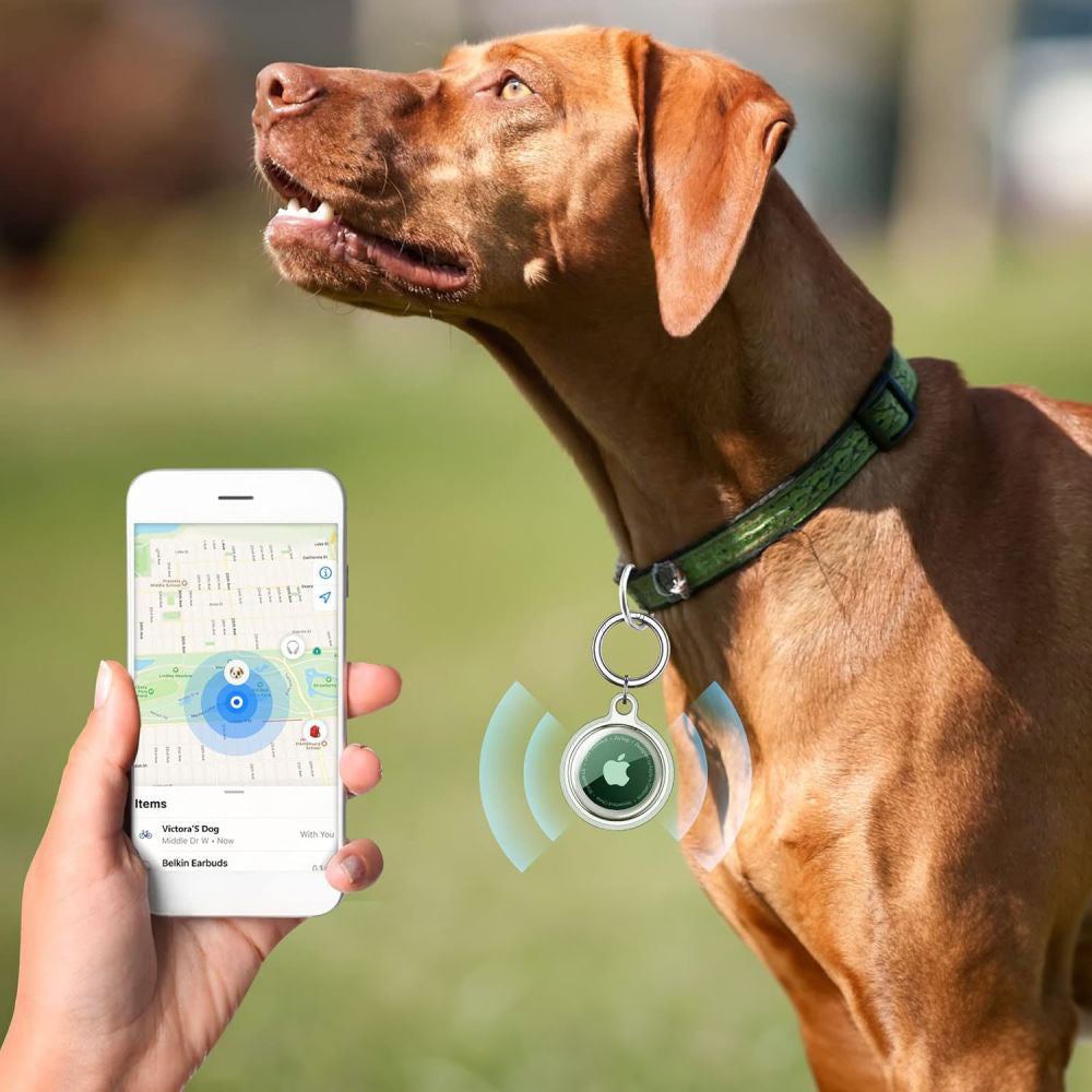 Custodia Techsuit CT15 per Apple AirTag, Trasparente