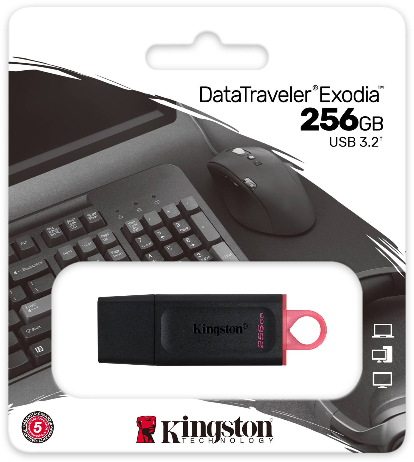 Memoria Esterna USB-A 3.2 Kingston DT Exodia, 256Gb DTX/256GB