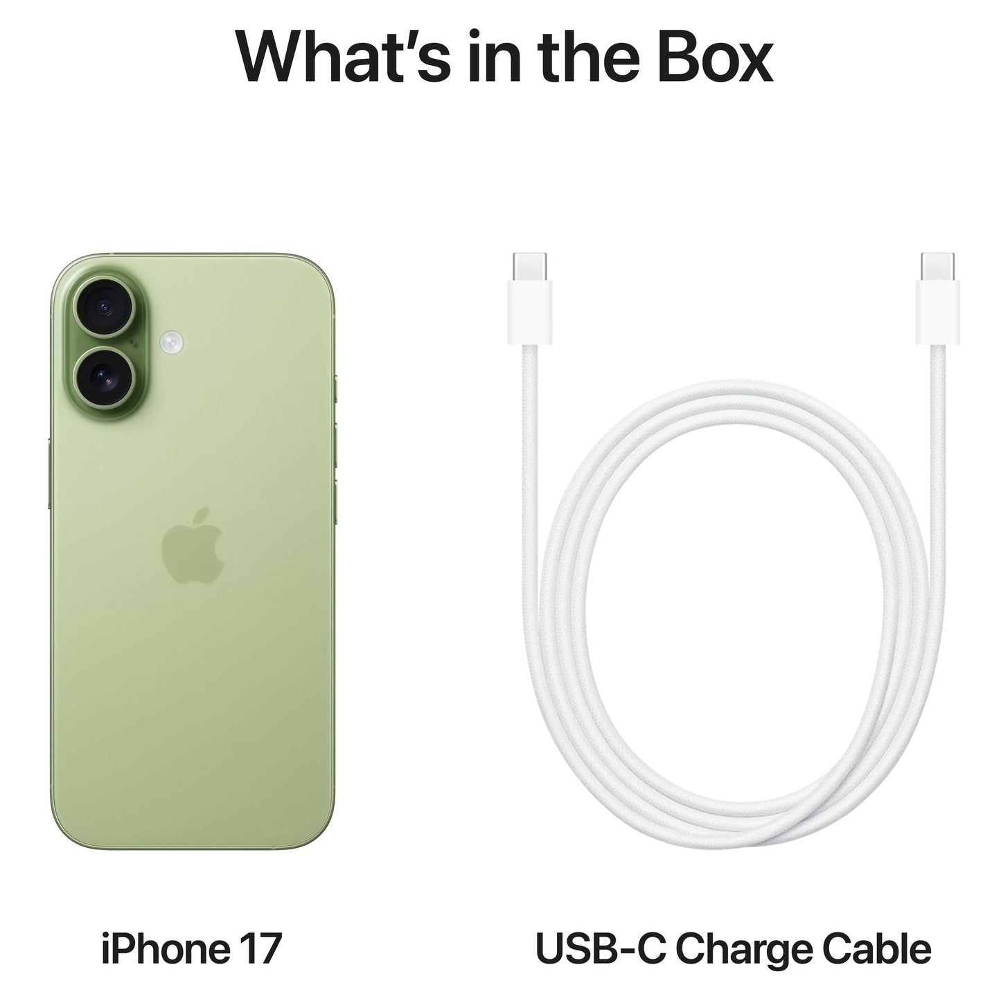 Telefono Mobile Apple iPhone 17, 256GB, Sage MG6N4ZD/A